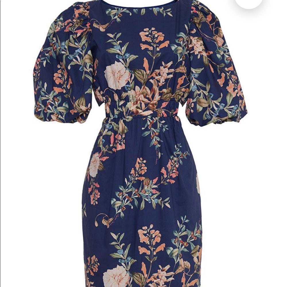 Gorgeous Cara Cara Dress NWT!